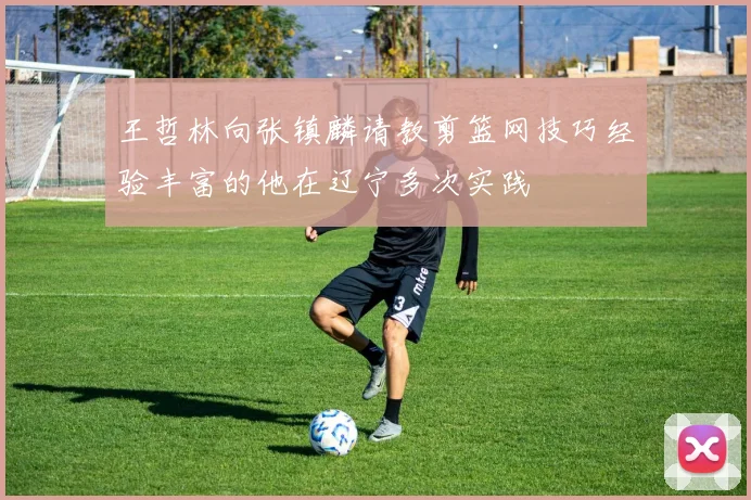 王哲林向张镇麟请教剪篮网技巧经验丰富的他在辽宁多次实践
