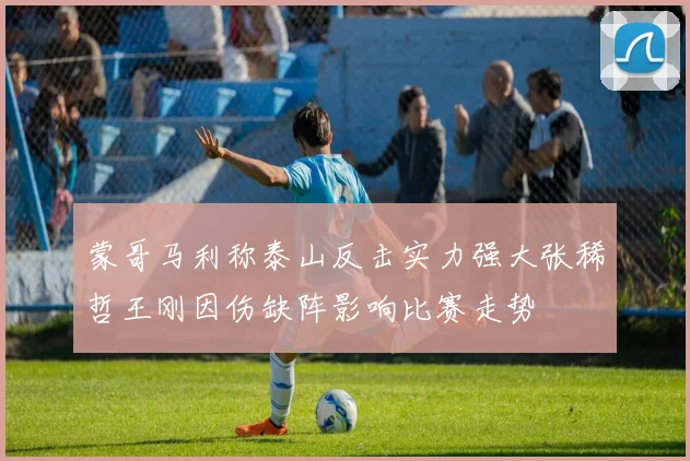 蒙哥马利称泰山反击实力强大张稀哲王刚因伤缺阵影响比赛走势