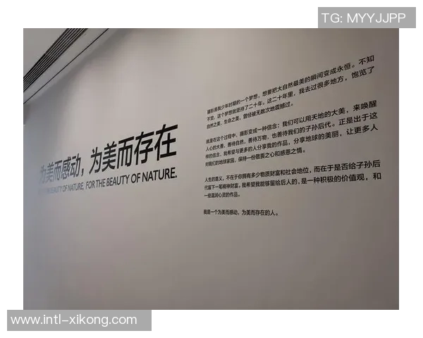 字母与空间的价值观：在困境中寻找无限可能与希望